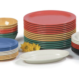 Colored Melamine Plate