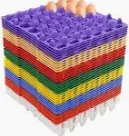 Plastic-Egg-Tray-1pc