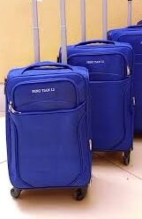 Feng Tian Li Suitcase Medium