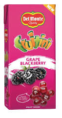 Del Monte Frutini Blackberry Juice 250ML