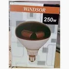 Windsor 250W