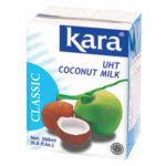 Kara Coconut Milk 200ML