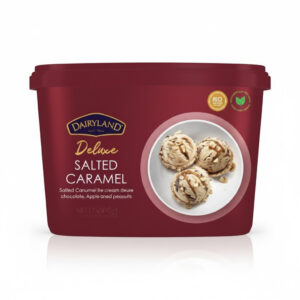 Dairyland Deluxe Salted Caramel Ice Cream 500ML