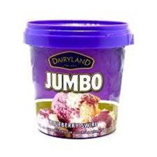Dairyland Blueberry Swirl Ice Cream 175ML
