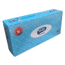 Bella Facial Tissue 80S