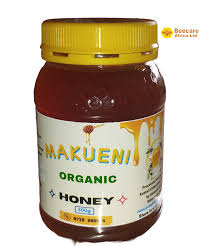 Makueni Organic Honey 100G