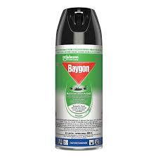 Baygon Odorless Insecticide Spray 300ML