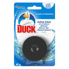 Duck In Cistern Block 45G