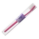 Wisdom Quest Toothbrush