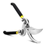 Pruning Scissors
