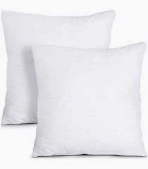 Generic Throwing Pillow 18*18